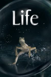 Life
