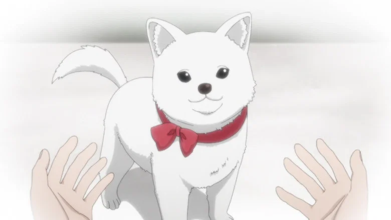Kinokoinu Mushroom Pup