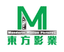 Mandarin Motion Pictures