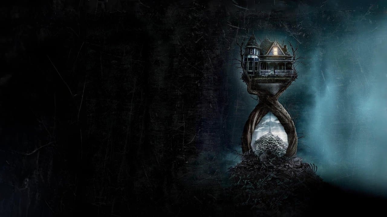 Time Loop Paradox